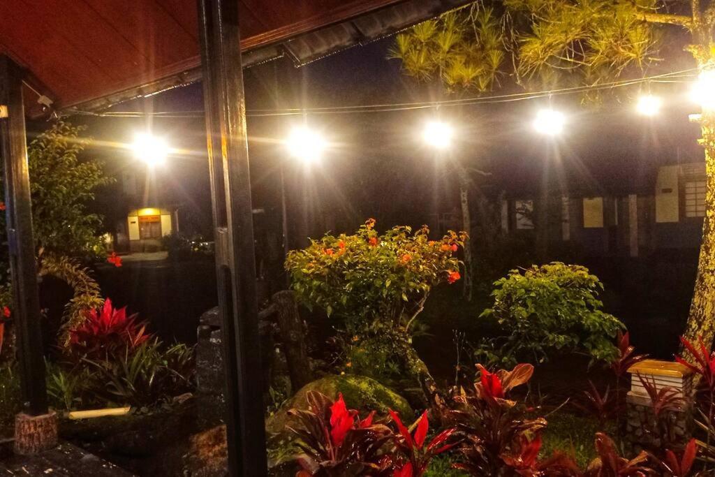 Designer Villa Tokyo ชิอันจูร์ ภายนอก รูปภาพ